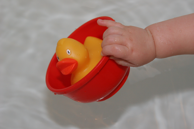 Duck 'n' Bowl
